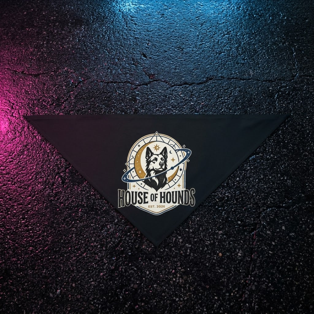 House of Hounds Dog Bandana, Cosmic Pet Bandana, 2 Sizes | House of Hounds